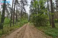 Grundstück  Paliepiukai, Litauen