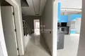 Wohnung 1 Zimmer 320 m² Alanya, Türkei