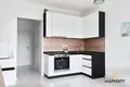 1 room apartment 23 m² Borovlyany, Belarus