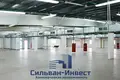 Коммерческое помещение 300 м² в Ждановичи, Беларусь