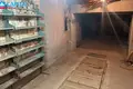 Casa 17 m² Vilna, Lituania
