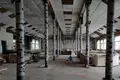 Warehouse 1 009 m² in Sluck, Belarus