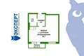 Wohnung 1 zimmer 35 m² Minsk, Belarus