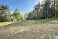 Atterrir  Pliescanicki sielski Saviet, Bélarus