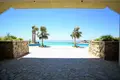 8 bedroom House 830 m² Mesa Chorio, Cyprus