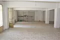 Commercial property 289 m² in Nea Efesos, Greece