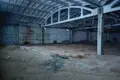 Fabrication 2 741 m² à Babrouïsk, Biélorussie