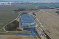 Almacén 9 990 m² en Fanipalski sielski Saviet, Bielorrusia