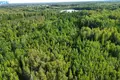 Land  Petrauskai, Lithuania