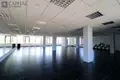 Commercial property 1 317 m² in Jonava, Lithuania