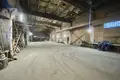 Manufacture 2 611 m² in Lyepyel, Belarus