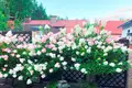 Cottage 452 m² Zdanovicy, Belarus