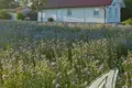 Maison 39 m² Sani, Bélarus