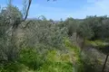 Land 5 980 m² Peloponnese Region, Greece