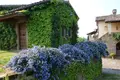 Investment 500 m² in Sferracavallo, Italy