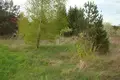 Atterrir  Lasanski selski Savet, Bélarus