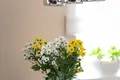3 room apartment 54 m² Komorniki, Poland