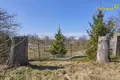 Maison 50 m² Ilyanskiy selskiy Sovet, Bélarus