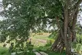 Дом 30 м² Городецкий муниципальный округ, Россия