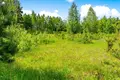 Parcelas  Sliziskiai, Lituania