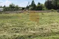 Parcelas  Vielikarycki sielski Saviet, Belarús