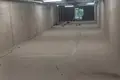 Gewerbefläche 234 m² Vilnius, Litauen