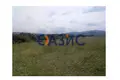 Commercial property 10 000 m² in Tsarevo, Bulgaria