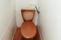 Wohnung 3 zimmer 64 m² Baryssau, Belarus