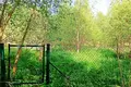 Atterrir 1 438 m² Pniewo, Pologne