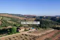 Commercial property 420 m² in Grosseto, Italy