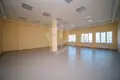 Propiedad comercial 8 habitaciones 303 m² en Minsk, Belarús