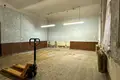 Gewerbefläche 12 zimmer 120 m² in Stankava, Belarus