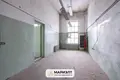 Manufacture 20 rooms 300 m² in Minsk, Belarus