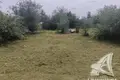 Grundstück  Cerninski sielski Saviet, Belarus