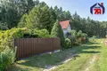 Casa 50 m² Miasocki siel ski Saviet, Bielorrusia