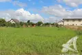 Grundstück  Carnaucycki sielski Saviet, Belarus