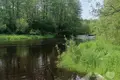 Wohnung 3 zimmer 68 m² Narach, Belarus