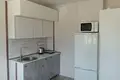 1 room apartment 20 m² Fanipal, Belarus