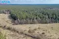 Działki  starostwo bezdańskie, Litwa