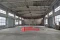 Manufacture 3 600 m² in Masty, Belarus