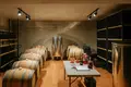 Unique family wine house with cellar, hotel rooms, vineyard and own wine brand. 