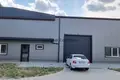 Commercial property 815 m² in Alsonemedi, Hungary