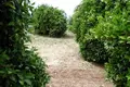 Land 1 950 m² Midea, Greece