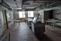 Производство 9 114 м² Орша, Беларусь