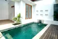 Villa mit 2 Schlafzimmern  Kerobokan, Indonesien