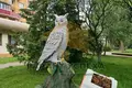 1 room apartment 34 m² Muchaviecki sielski Saviet, Belarus