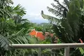 2 bedroom Villa 234 m² Ban Kata, Thailand