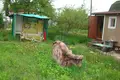 Dom 40 m² Ozyaritska Slabadski rural council, Białoruś
