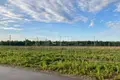 Grundstück 800 m² gorodskoj okrug Bor, Russland