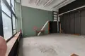 Commercial property 44 m² in Minsk, Belarus